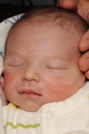 Gauthier, Liam